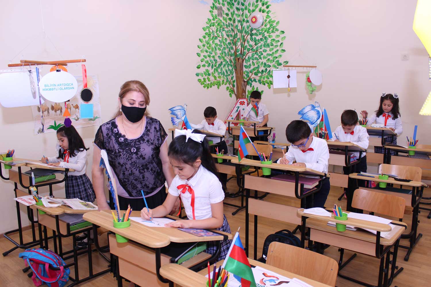 Beynəlxalq Sülh Gününə dair dərslər