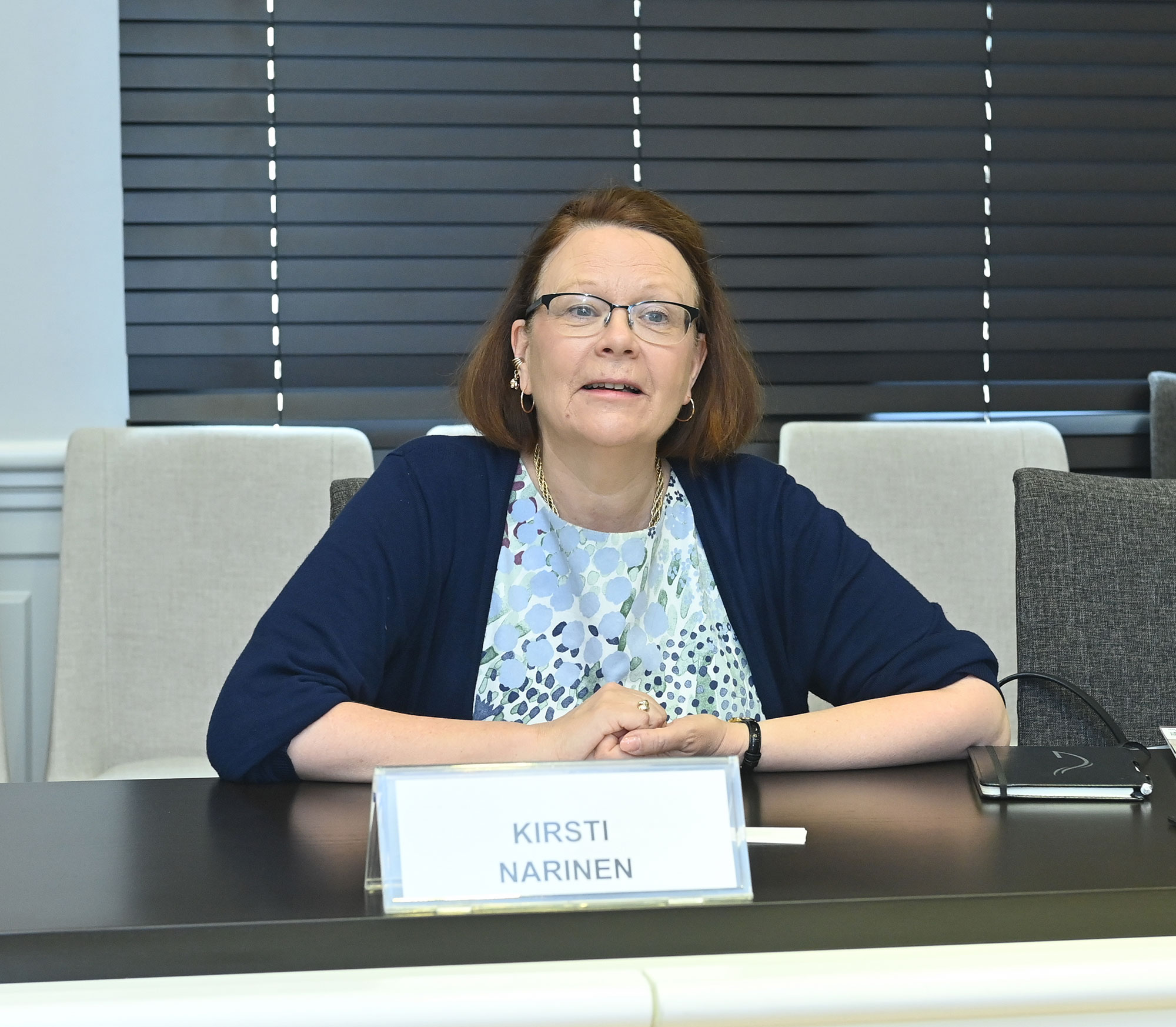 Təhsil nazirinin müavini Finlandiyanın ölkəmizdəki səfiri ilə görüşüb