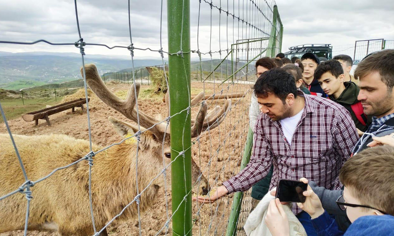 Şamaxı Safari Parkına ekskursiya