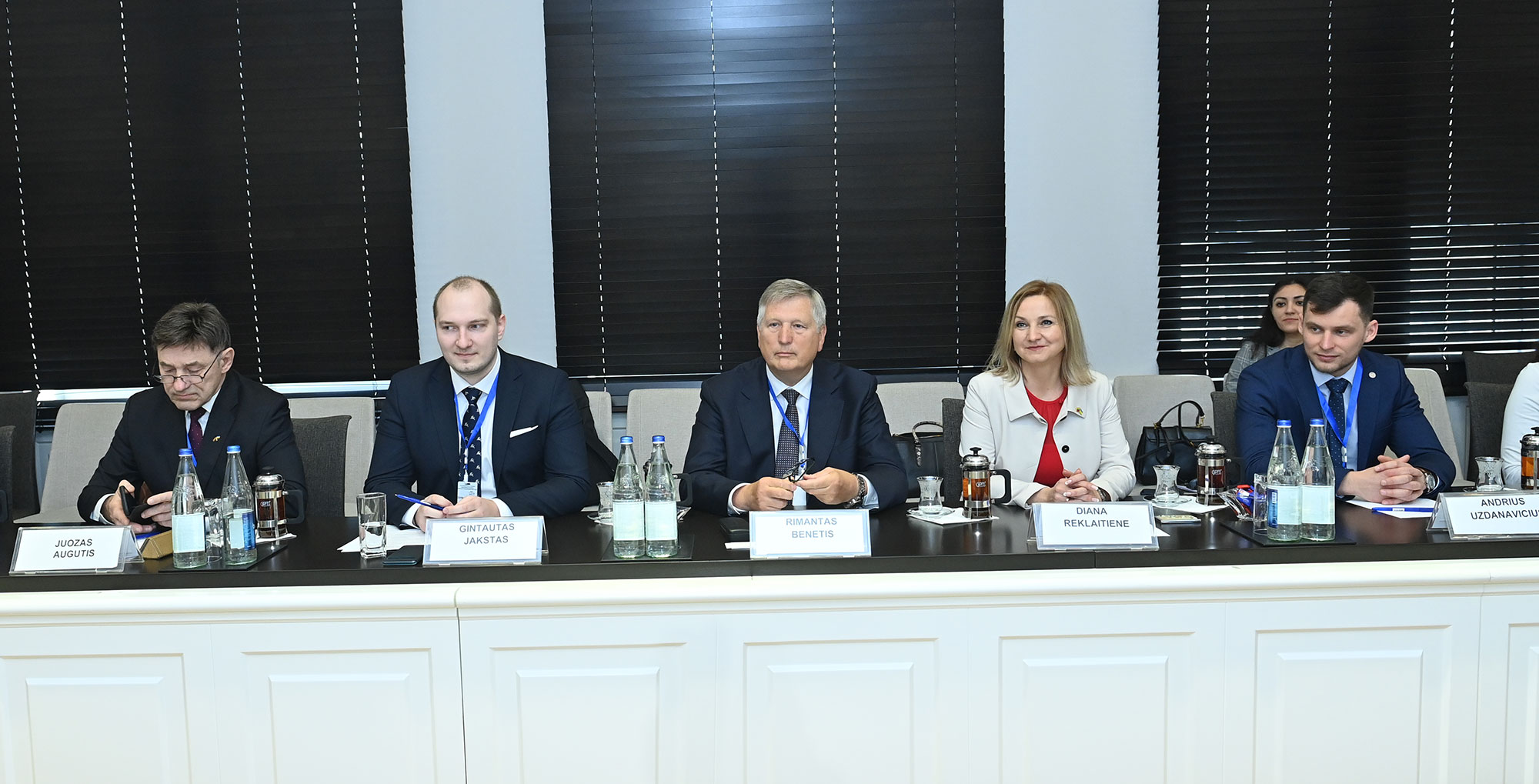 Təhsil nazirinin müavini Litvanın təhsil, elm və idman naziri müavininin rəhbərlik etdiyi nümayəndə heyəti ilə görüşüb