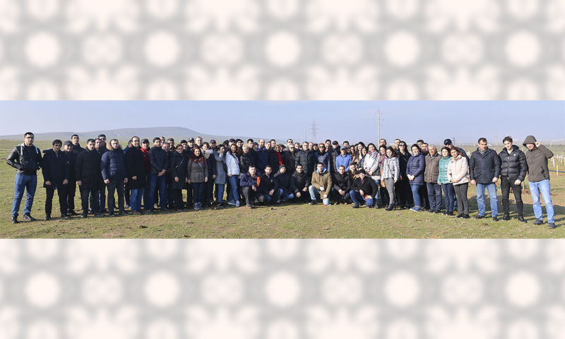Təhsil Nazirliyi ağacəkmə aksiyası keçirib