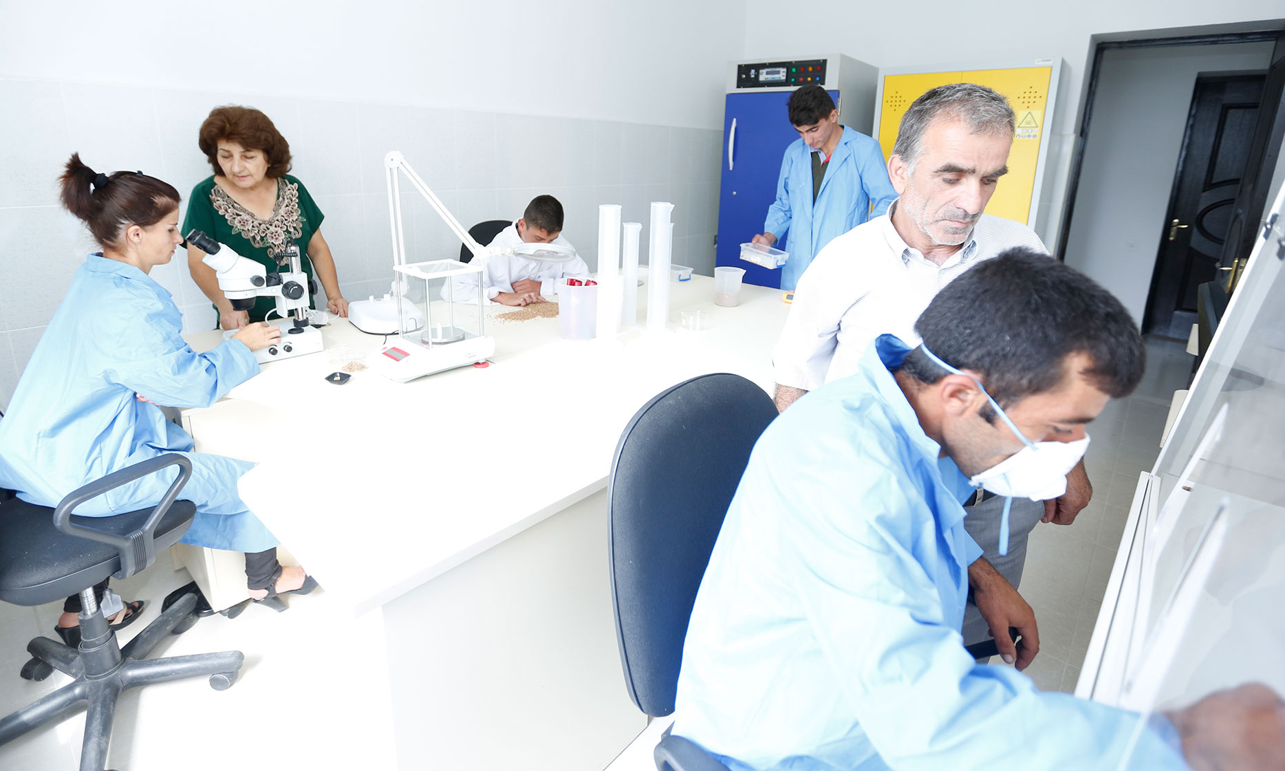 Peşə təhsili müəssisələrinin tələbələri üçün yay təcrübə proqramı