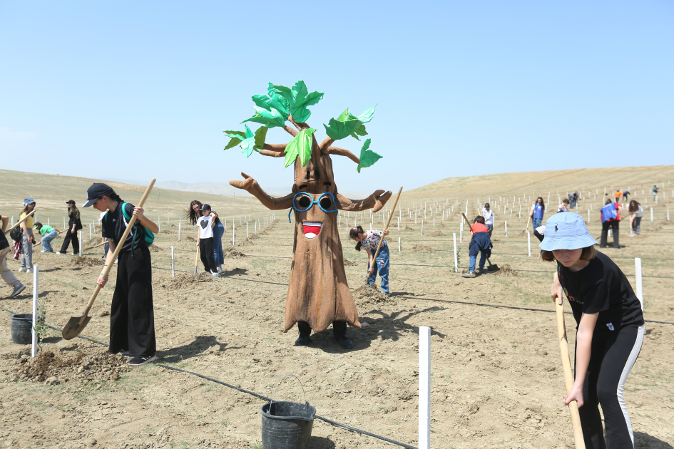 Məktəblilərin iştirakı ilə “EcoGreenAction” layihəsi çərçivəsində ağacəkmə aksiyası keçirilib