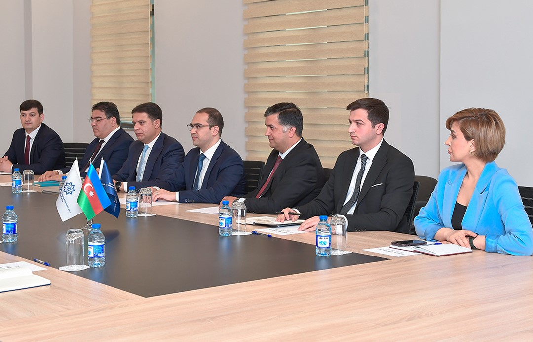 Əmək ehtiyatlarının təhsil pillələri üzrə təhlilinin nəticələri açıqlanıb