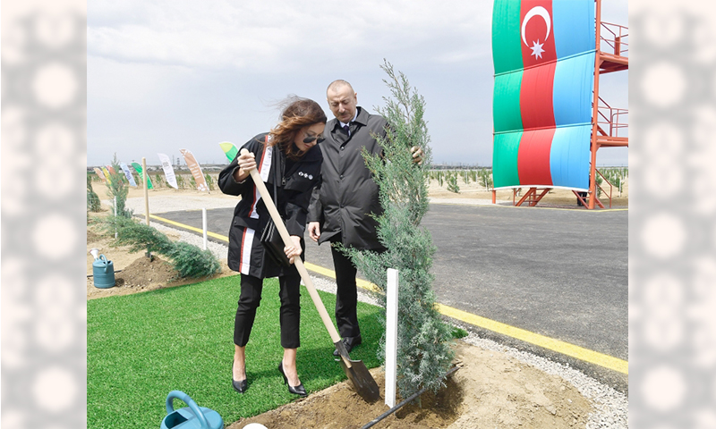 Prezident İlham Əliyev və birinci xanım Mehriban Əliyeva ulu öndər Heydər Əliyevin doğum günü münasibətilə ağac əkiblər