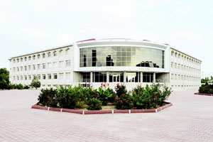 Böyütmək üçün şəkili seçin
